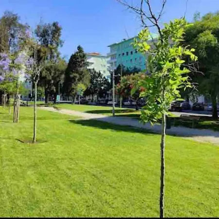 Ola ! Central Lightning Quiet View Garden 10mn Airport Appartamento