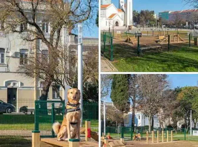 Ola ! Central Lightning Quiet View Garden 10mn Airport 公寓