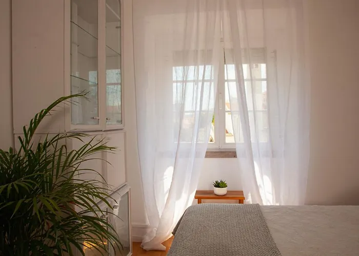 Ola ! Central Lightning Quiet View Garden 10mn Airport 公寓